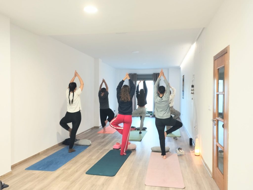 Grupo practicando la postura del árbol en una clase de yoga en Sada